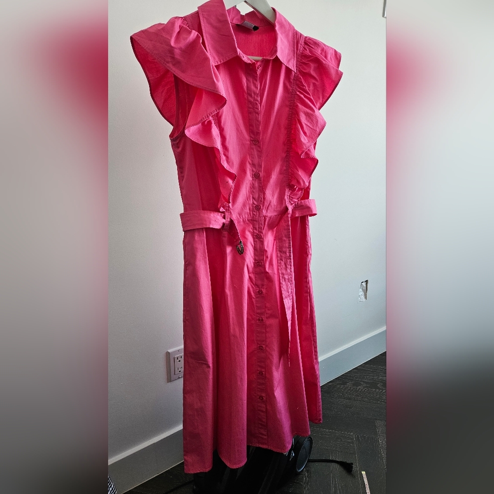 Pink Ruffled Button-Down Dress